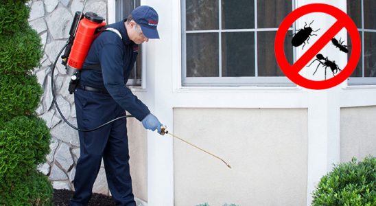 Taraklı Dezenfeksiyon böcek ilaçlama ve haşere kontrolü — ilaclama-tr.com